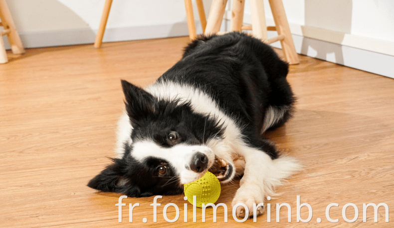 Smiling Ball Dog Toys